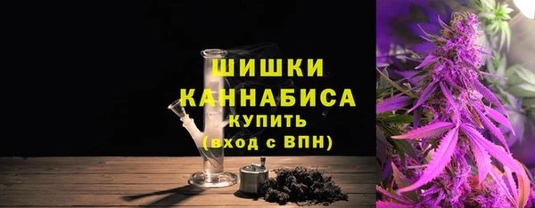 индика Баксан