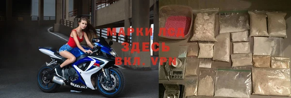 индика Баксан