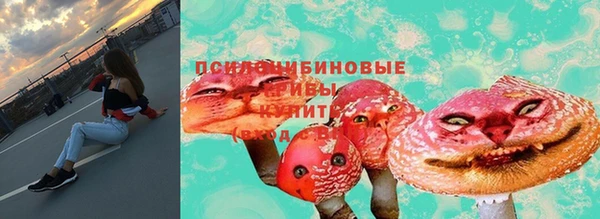меф Белокуриха
