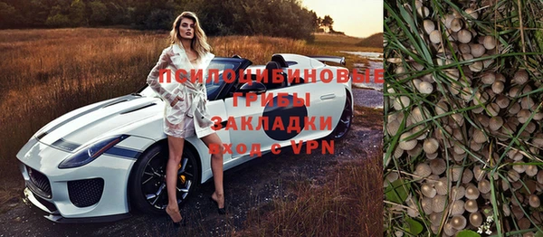 меф Белокуриха