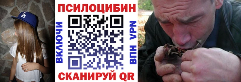 дарнет шоп  Гдов  Псилоцибиновые грибы мицелий 